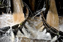 Szaplonca, Măruț szőnyegmosó, Fotó: WR