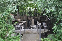 Szaplonca, Măruț szőnyegmosó, Fotó: WR