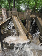 Szaplonca, Măruț szőnyegmosó, Fotó: WR