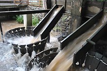 Szaplonca, Măruț szőnyegmosó, Fotó: WR