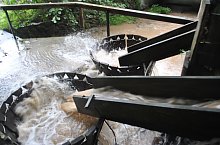 Szaplonca, Măruț szőnyegmosó, Fotó: WR