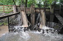 Szaplonca, Măruț szőnyegmosó, Fotó: WR