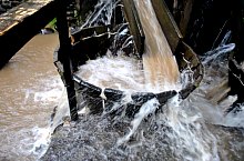 Szaplonca, Măruț szőnyegmosó, Fotó: WR