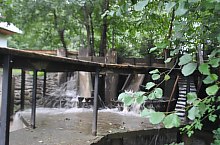 Szaplonca, Măruț szőnyegmosó, Fotó: WR