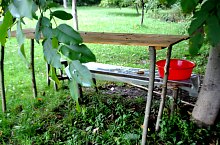 Măruț szőnyegmosó, Szaplonca , Fotó: Țecu WR