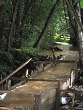 Măruț szőnyegmosó, Szaplonca , Fotó: Țecu WR