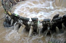 Măruț szőnyegmosó, Szaplonca , Fotó: Țecu WR