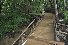 Măruț szőnyegmosó, Szaplonca , Fotó: Țecu WR