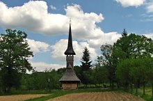 Cărpiniș, Foto: Mircea Roșu