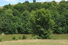 Lacul Dobric, Foto: WR