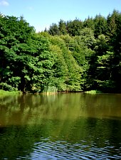 Lacul Lighet, Targu Lapus , Foto: WR