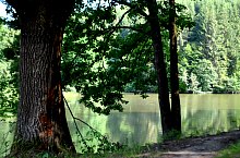 Lacul Lighet, Targu Lapus , Foto: WR