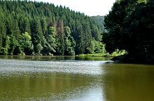 Lacul Lighet, Targu Lapus , Foto: WR