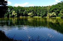 Lacul Lighet, Targu Lapus , Foto: WR