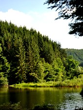 Lacul Lighet, Targu Lapus , Foto: WR
