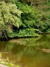 Lacul Lighet, Targu Lapus , Foto: WR