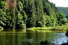 Lacul Lighet, Targu Lapus , Foto: WR
