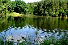 Lacul Lighet, Targu Lapus , Foto: WR