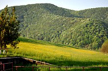 Kányaházai tó, Kányaháza , Fotó: WR