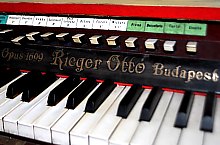 Biserica catolica, Livada , Foto: WR