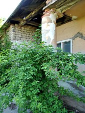 Conacul Péchy, Livada , Foto: WR