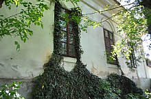 Conacul Kerekes sau Péterffy, Livada , Foto: WR