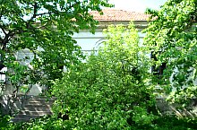 Conacul Kerekes sau Péterffy, Livada , Foto: WR