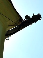 Castelul Vecsey, Livada , Foto: WR