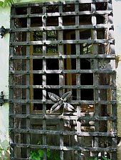 Castelul Vecsey, Livada , Foto: WR