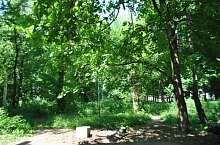 Castelul Vecsey, Livada , Foto: WR