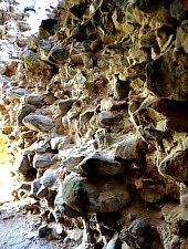 Castelul Lonyai, Mediesu Aurit , Foto: WR