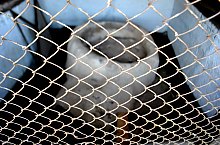 Situl arheologic, Mediesu Aurit , Foto: WR