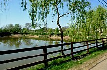 Porumbesti , Foto: WR