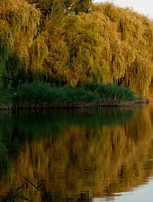 Lacul, Porumbesti , Foto: Vajda István