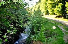 Tarna Bai, Tarna Mare , Foto: WR