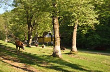 Tarna Bai, Tarna Mare , Foto: WR