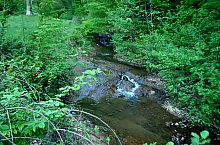 Tarna Bai, Tarna Mare , Foto: WR