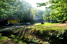 Tarna Bai, Tarna Mare , Foto: WR