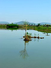 Lacul, Turulung , Foto: WR