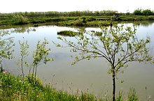 Lacul, Turulung , Foto: WR