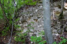 Cetatea Chioarului, Berchezoaia , Foto: Szabó Tibor
