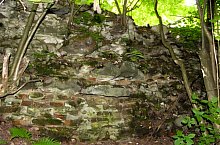 Cetatea Chioarului, Berchezoaia , Foto: Szabó Tibor