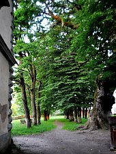 Castelul Teleki, Coltau , Foto: WR