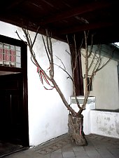 Muzeul Petofi, Coltau , Foto: WR