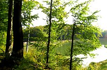 Nistru tó, Miszbánya , Fotó: Mircea Roșu