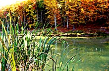 Nistru tó, Miszbánya , Fotó: Mircea Roșu