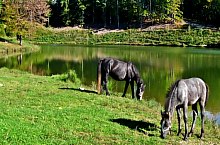 Nistru tó, Miszbánya , Fotó: Mircea Roșu