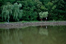 Costin tava, Hagymás-Lápos , Fotó: WR