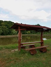 Costin tava, Hagymás-Lápos , Fotó: WR