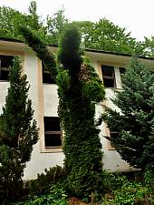 A bánya, Miszbánya , Fotó: WR